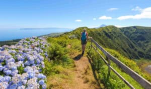 Faial Azores