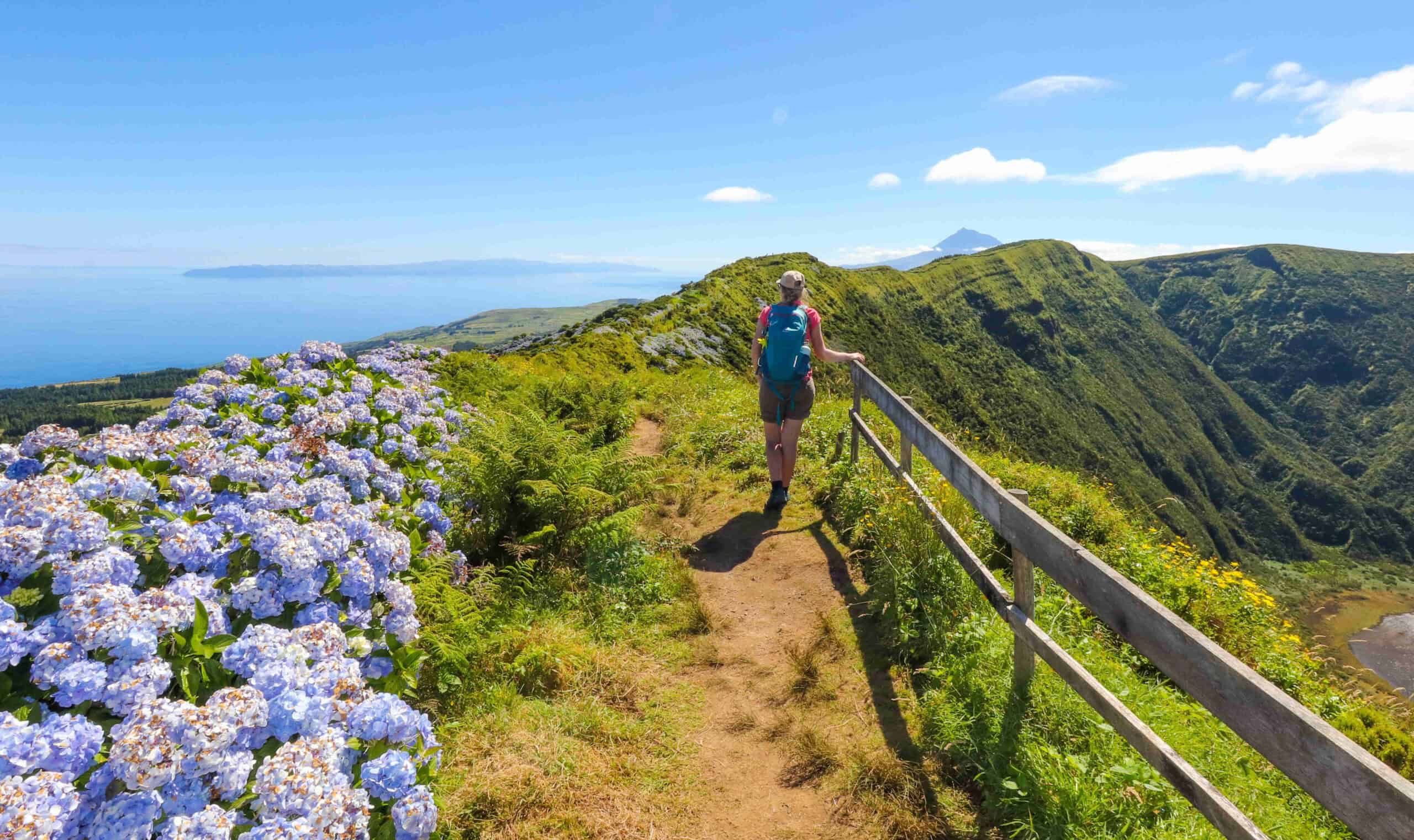Faial Azores