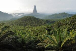 Pico Cao Grande, Sao Tome
