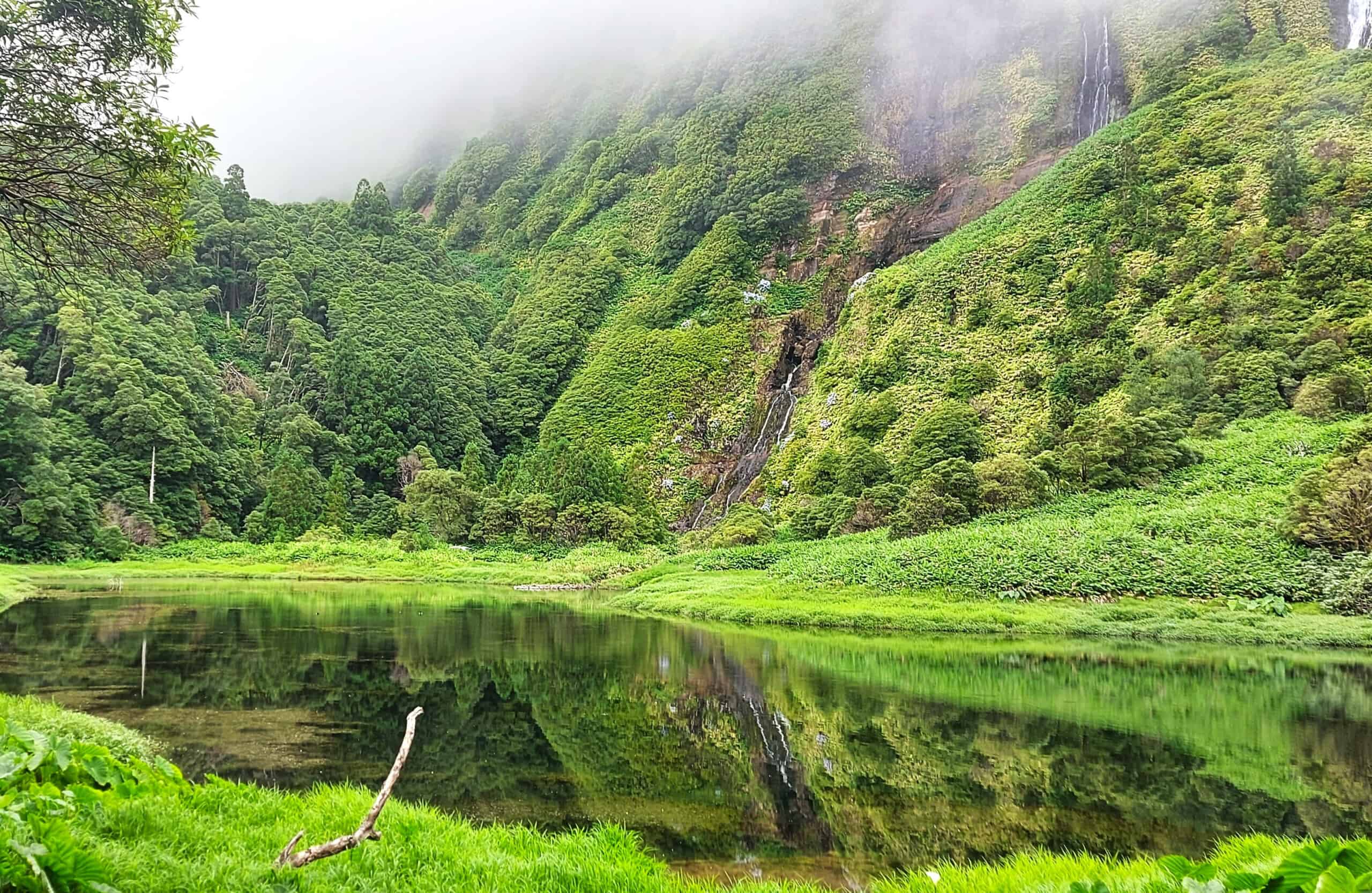 Flores, Azores