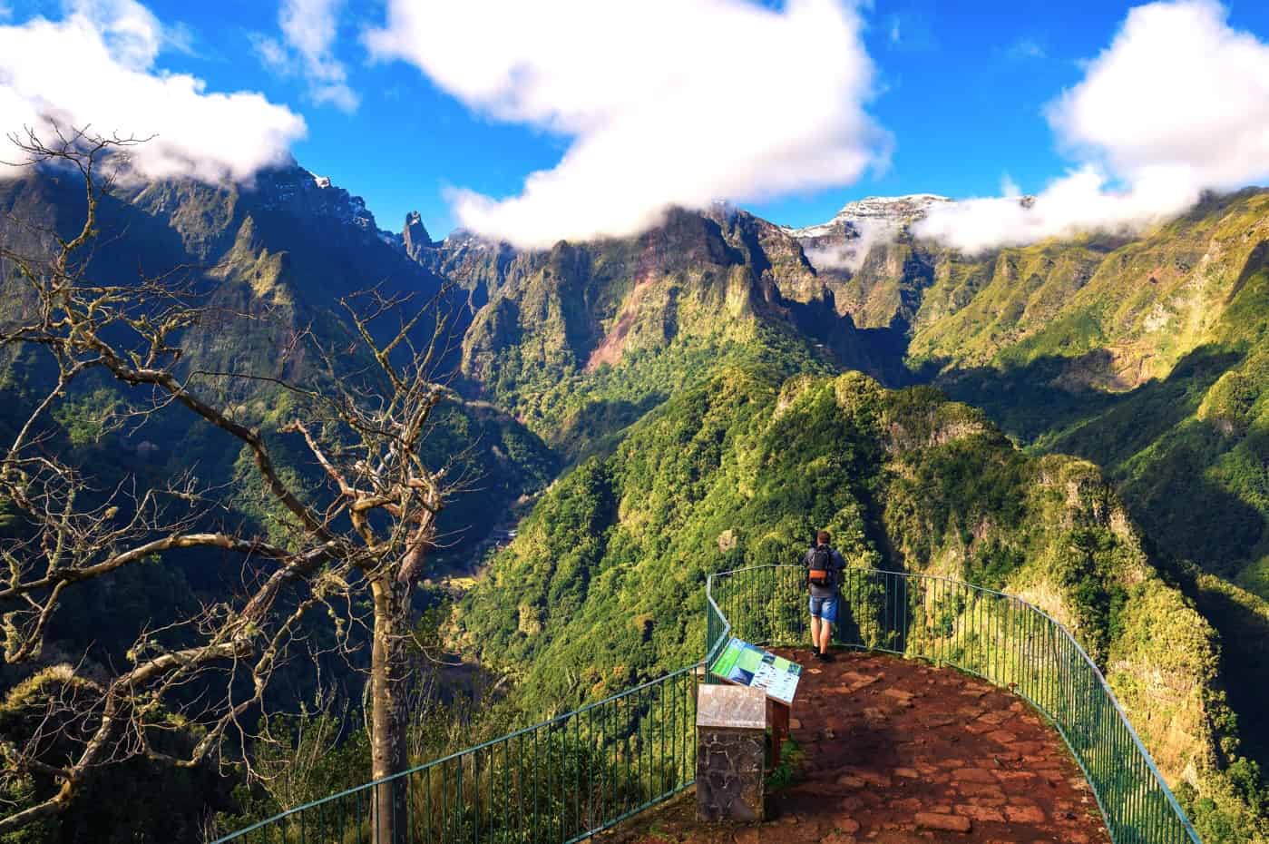Seven Nights in Funchal 