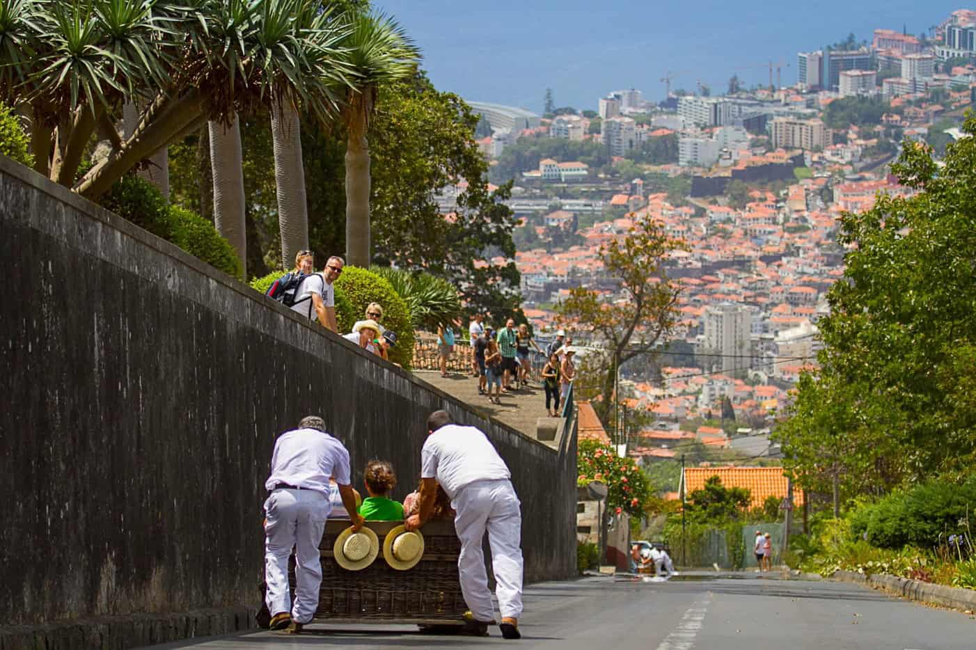 Seven Nights in Funchal