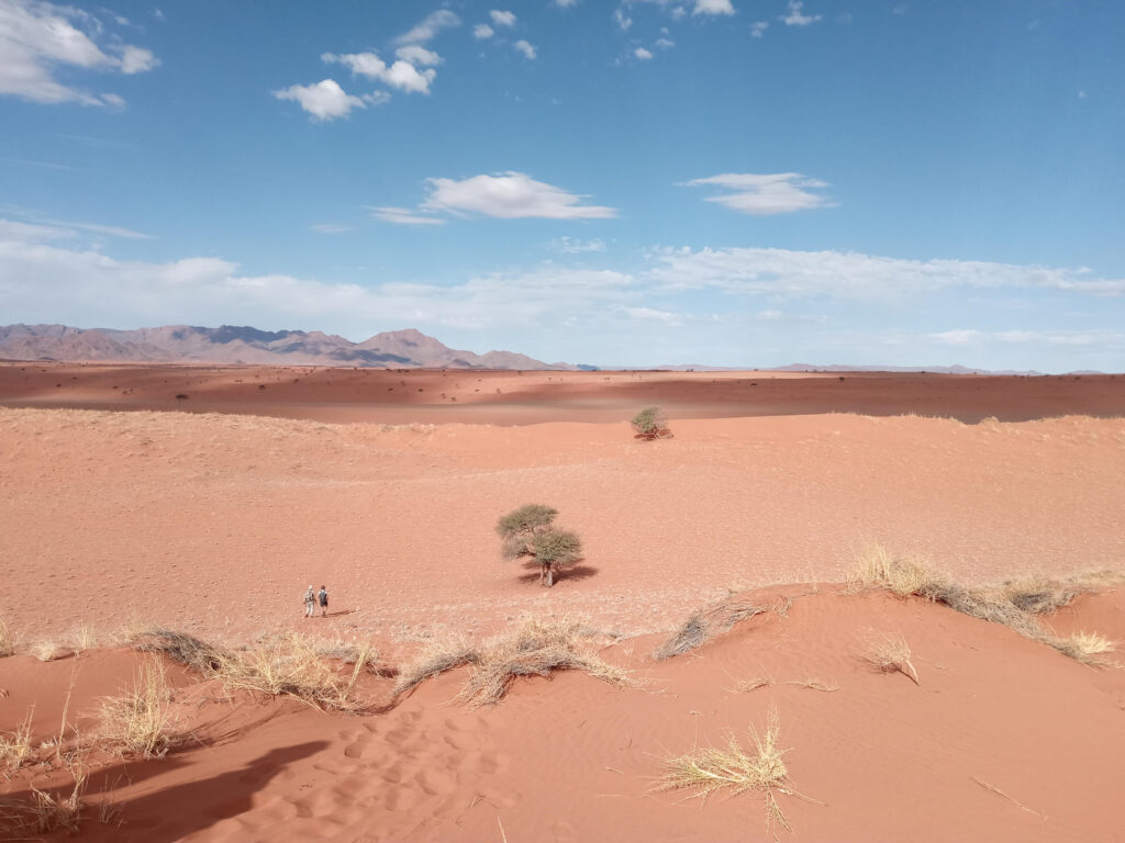 Tok Tokkie Trails Namibia