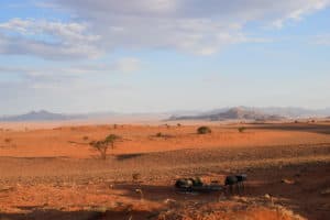 We walk the Tok Tokkie trails in Namibia