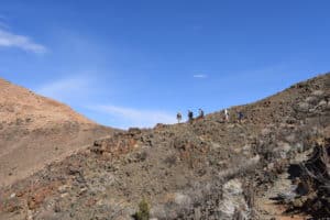 We walk the Tok Tokkie trails in Namibia