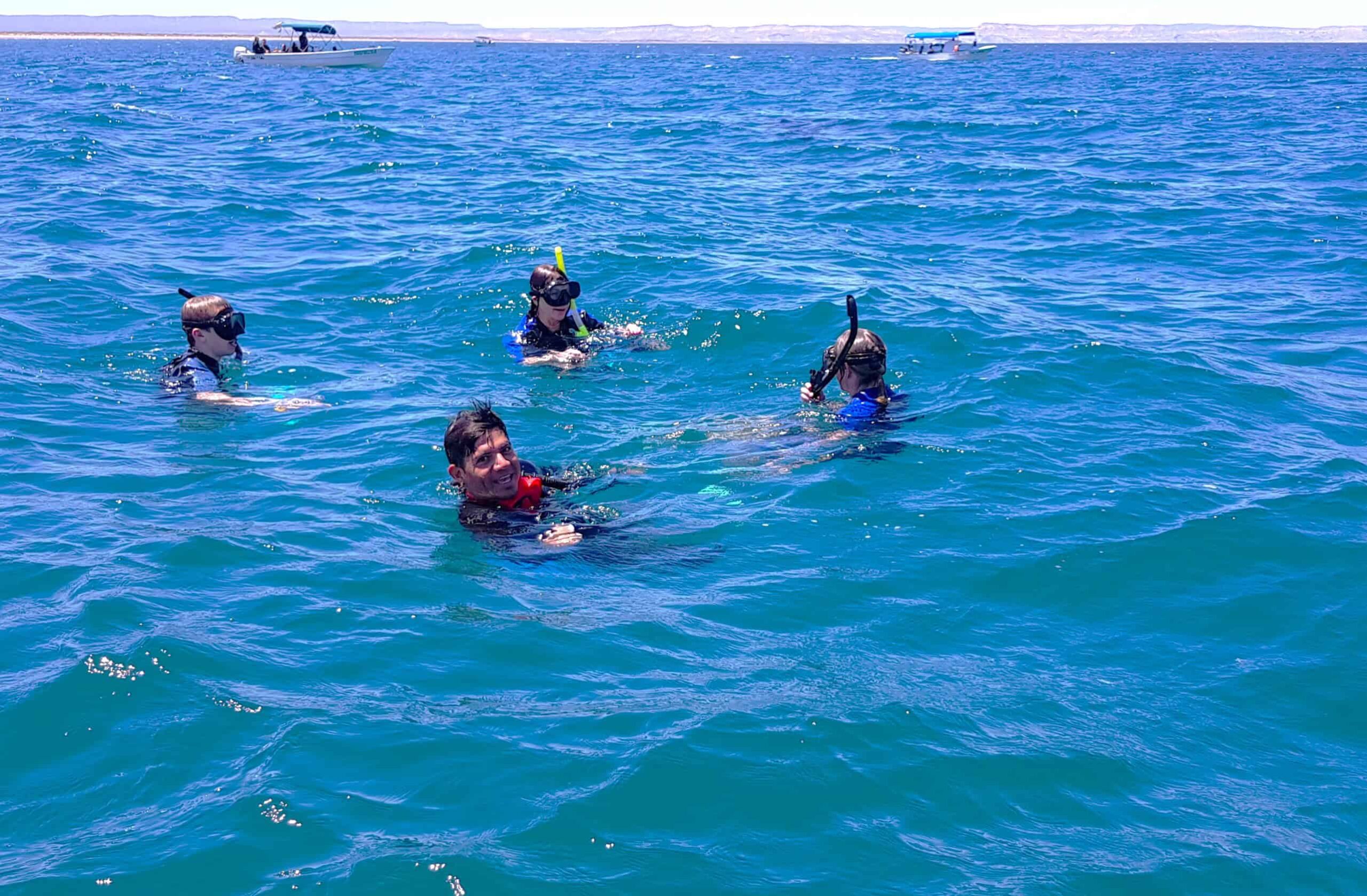 Swimming with Whale Sharks