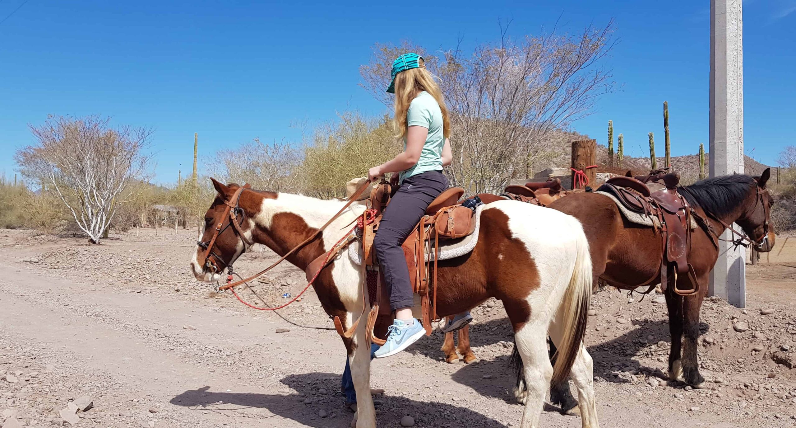 Horse Riding in Baja California