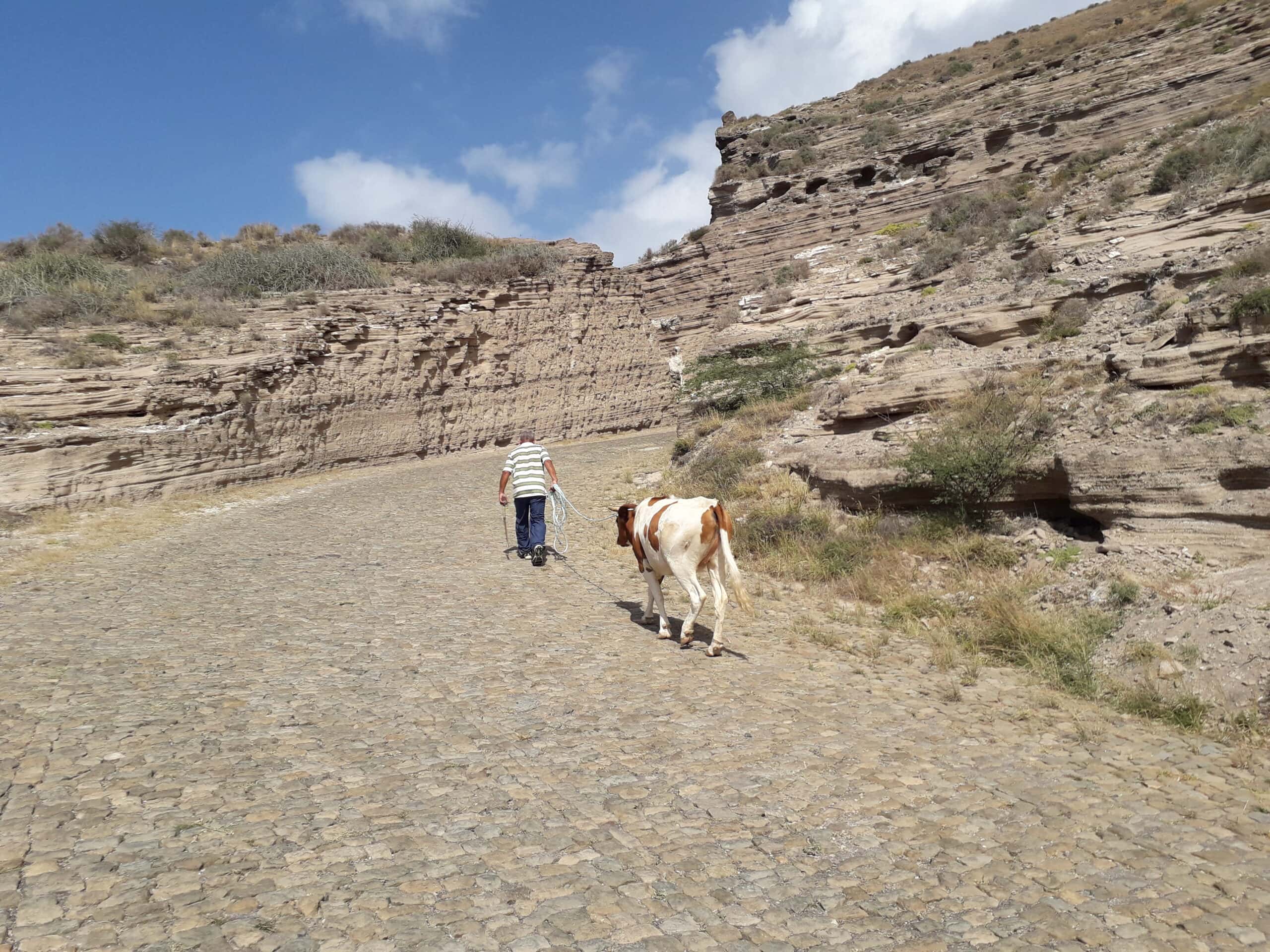 The beautiful island of Brava