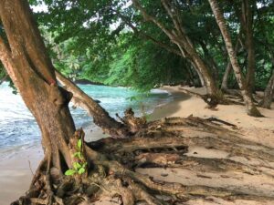 Max Travelled to Sao Tome – and Found Out Why these Islands are So Special