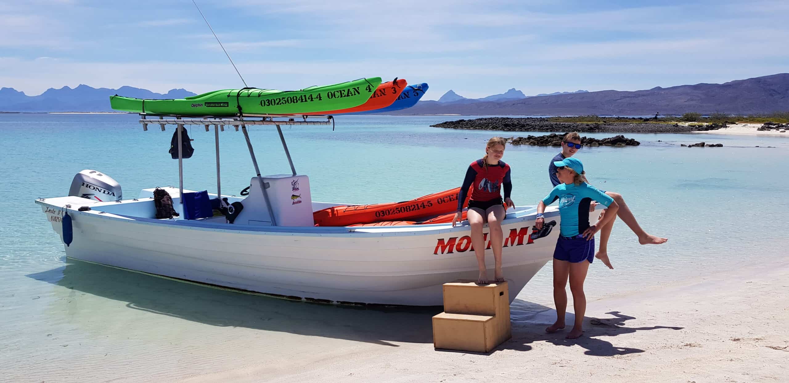 Baja California family whale watching