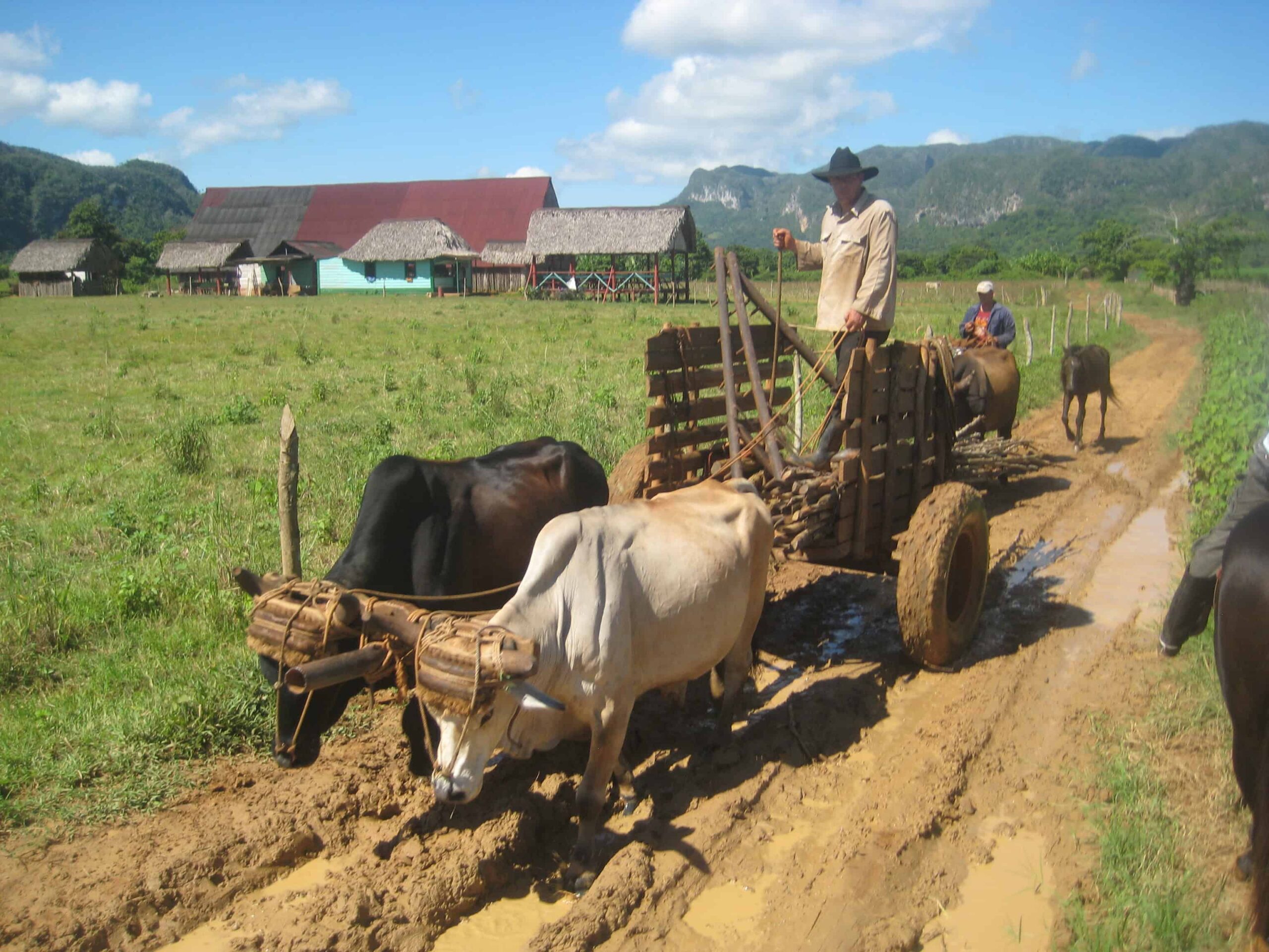 Colourful and charismatic Cuba (6)