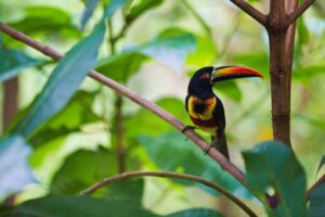 Holidays in Costa Rica