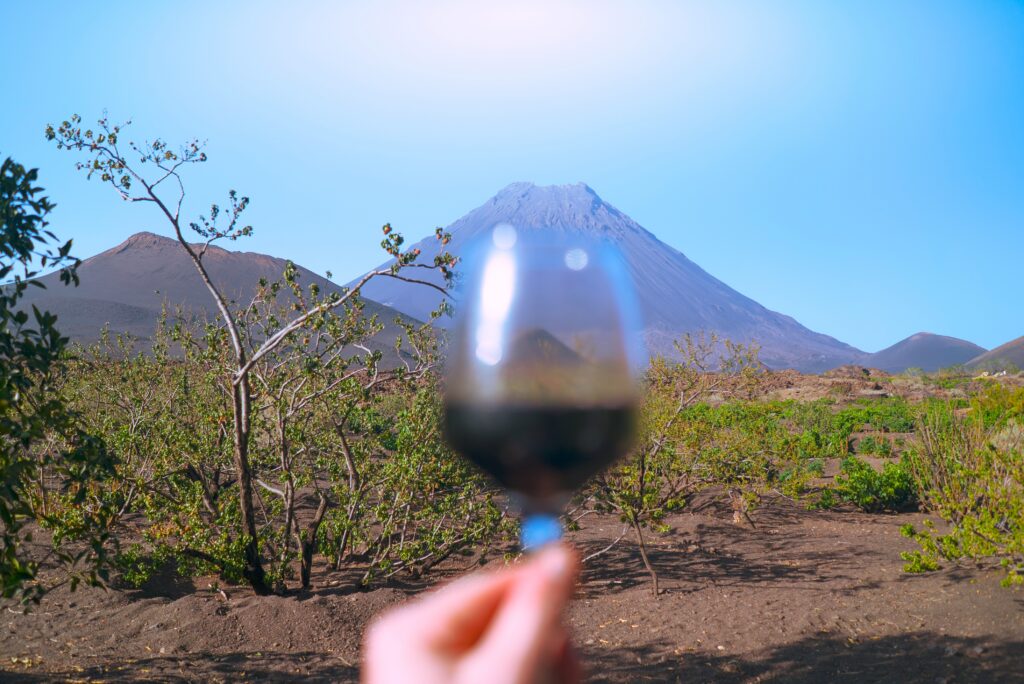 Wine tasting on Fogo - Cape Verde