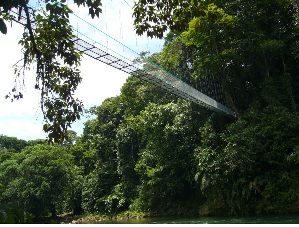 Costa Rica Holidays - Hanging bridge