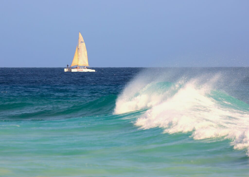 Dolphin cruises in Cape Verde