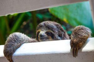 Family Friendly Costa Rica