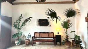 Boutique JM 432 : Trinidad