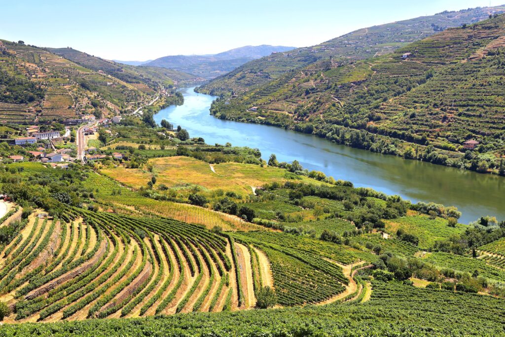 Northern Portugal Douro Valley