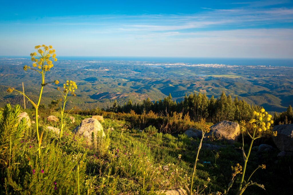 Portugal Algave Mount Foia