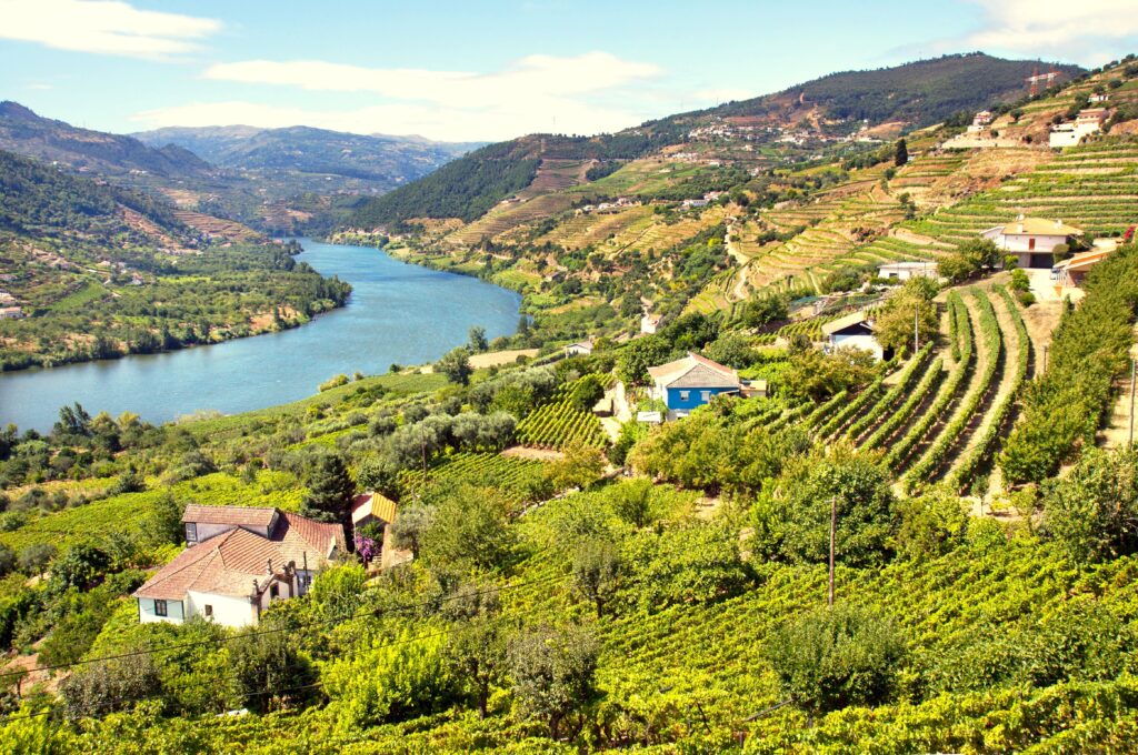 Portugal Douro Valley