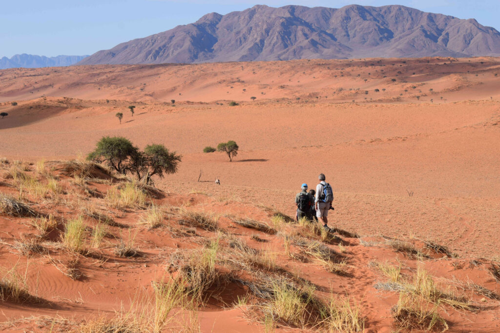 The Tok Tokkie Trail in Namibia