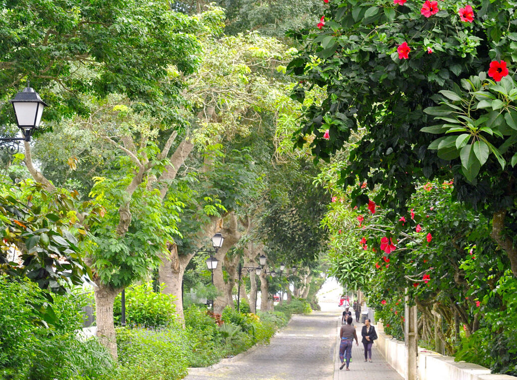 Vila Nova Sintra on Brava in Cape Verde