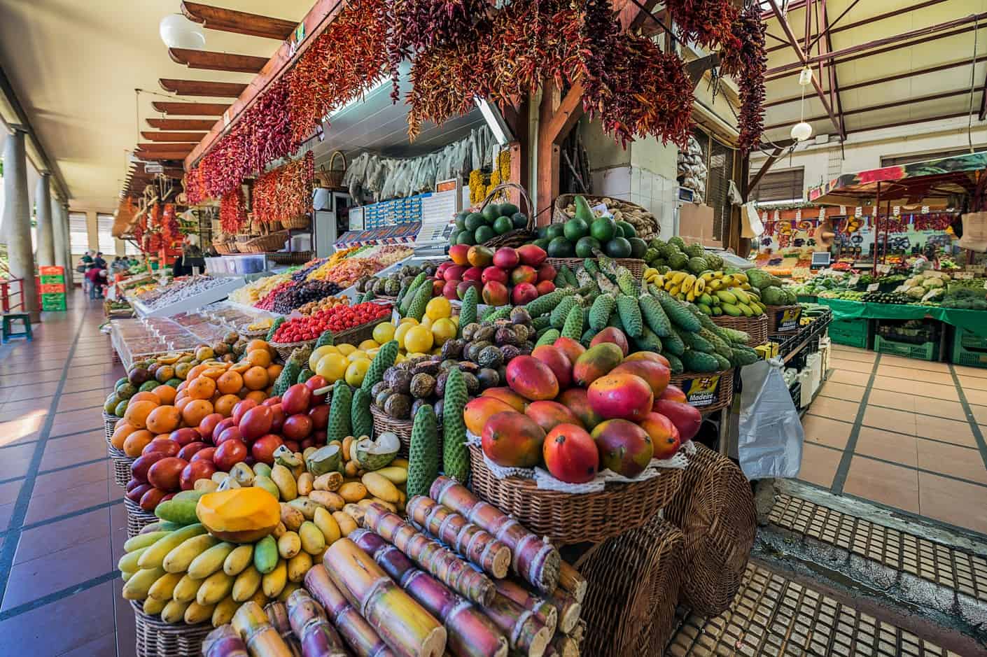 Gastronomic Experiences