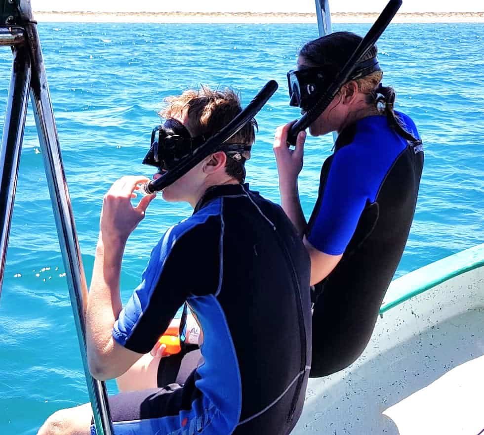 Swimming with whale sharks