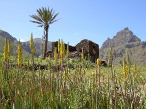 Holidays in Cape Verde