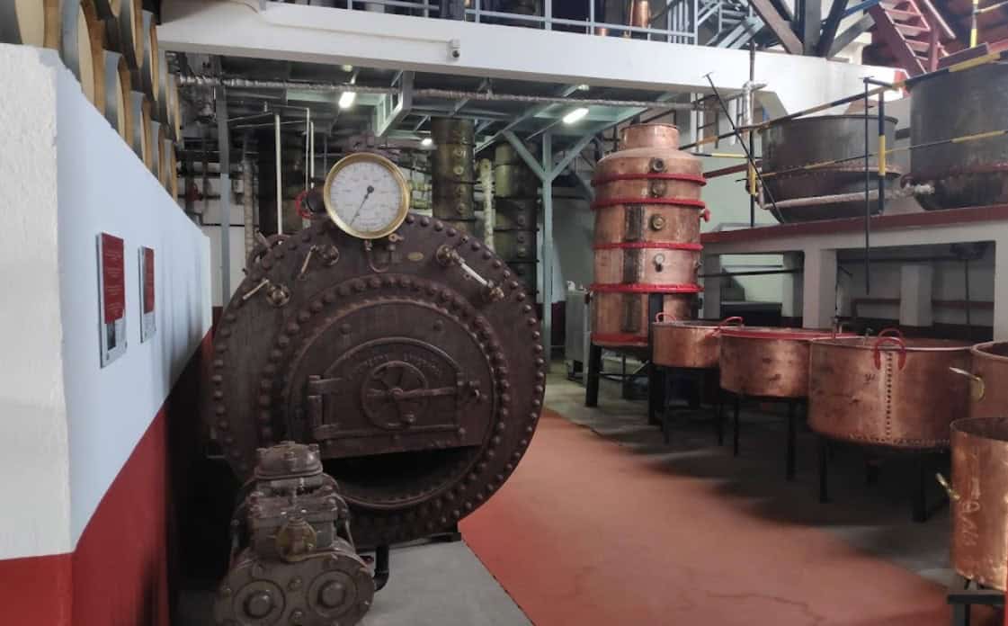 Where to eat on Madeira