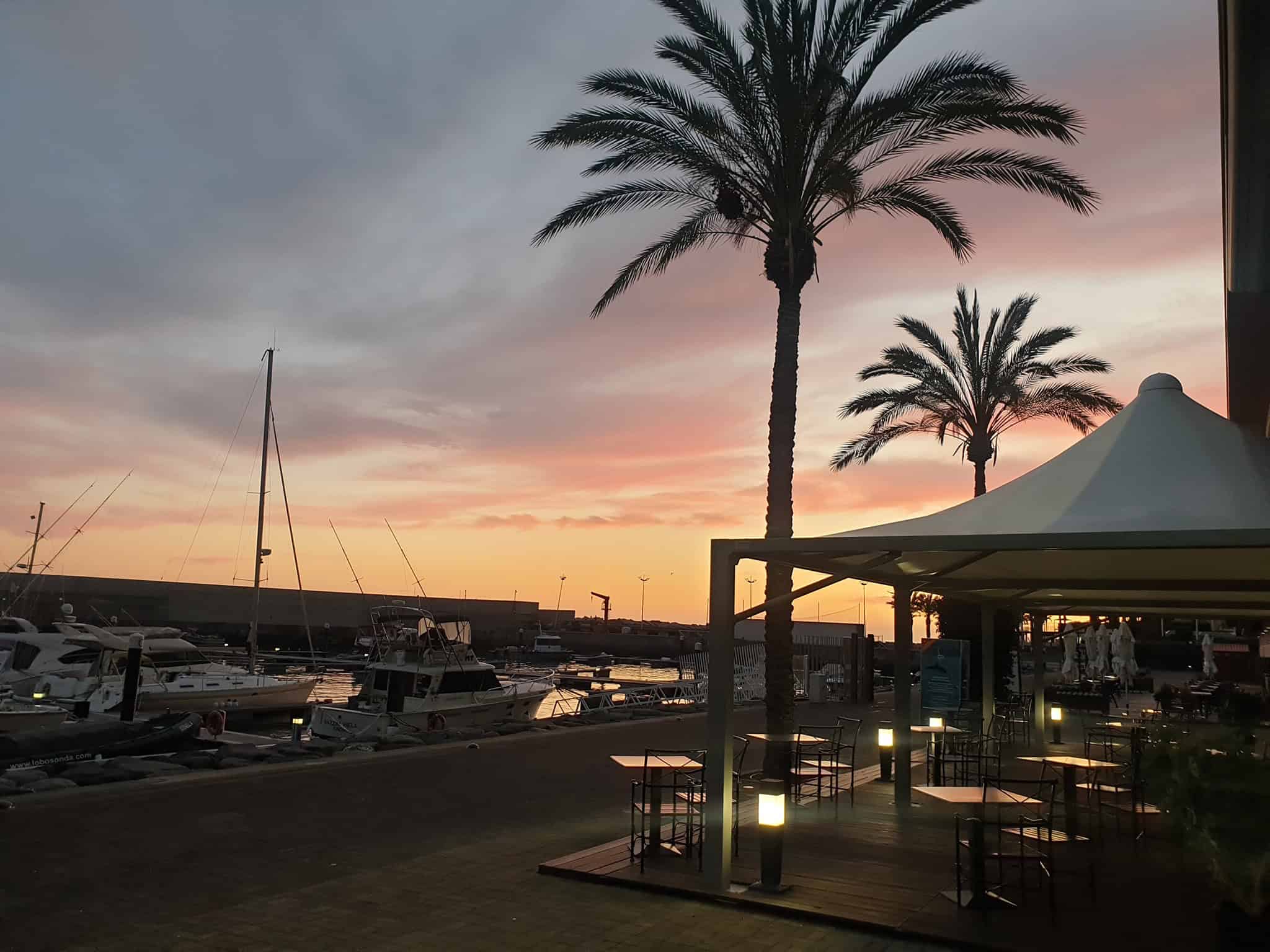 Where to eat on Madeira