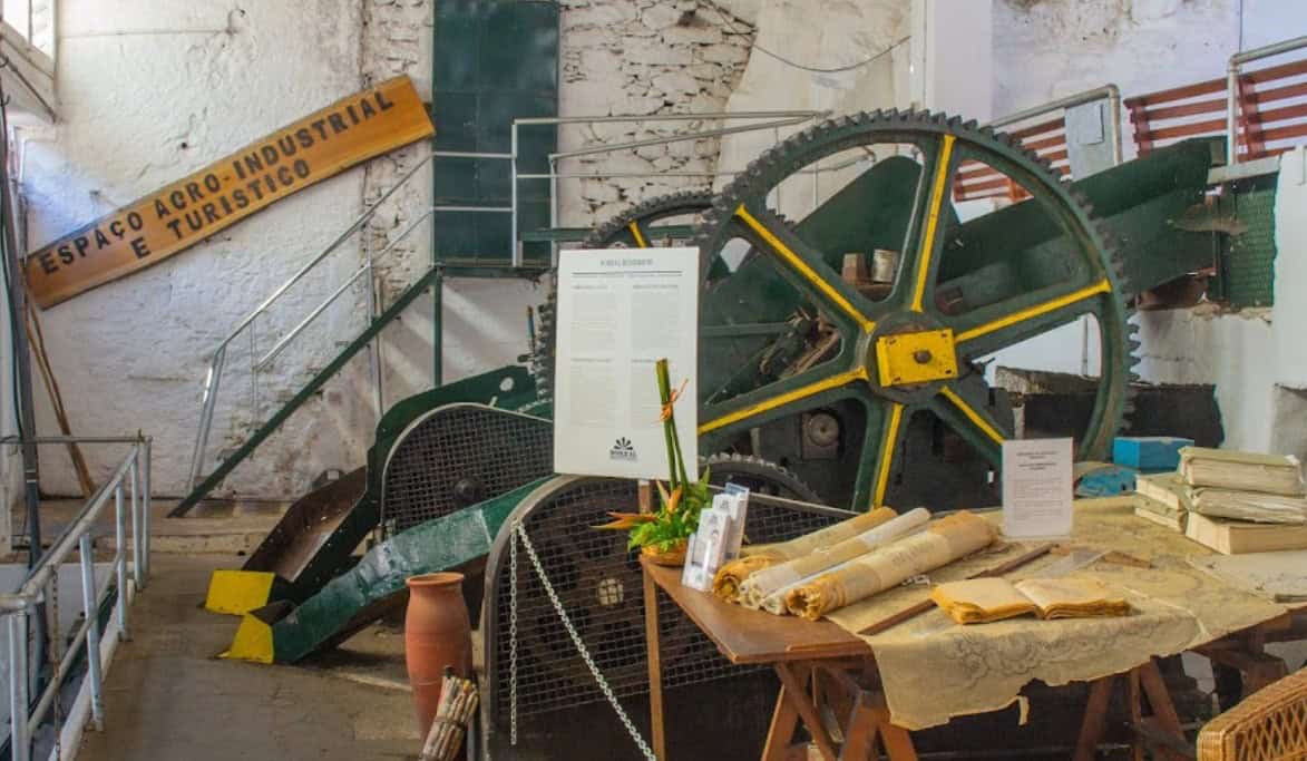 Where to eat on Madeira