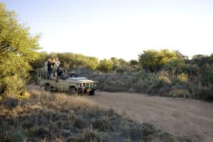 Namibia Holidays - Okonjima