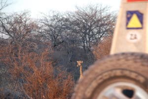 Namibia Holidays - Etosha National Park