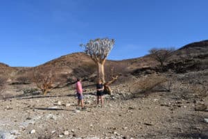What's it like to stay at a guest farm in Namibia