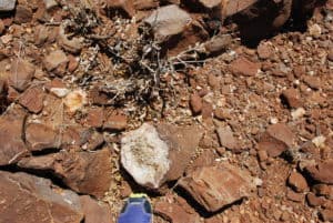 Namibia Holidays - guided walking