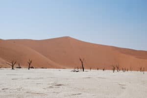 Namibia Holidays - Deadvlei