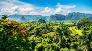 A Walking Holiday in Cuba