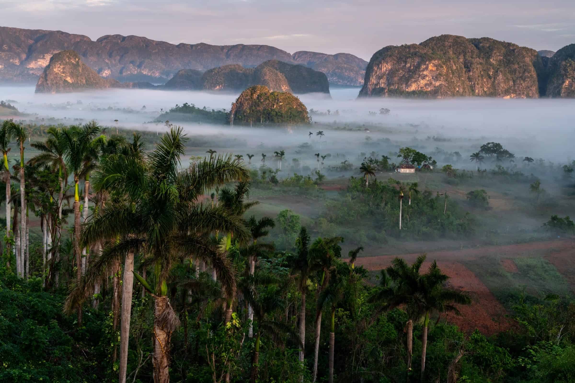 Mist over Vinales Valley 