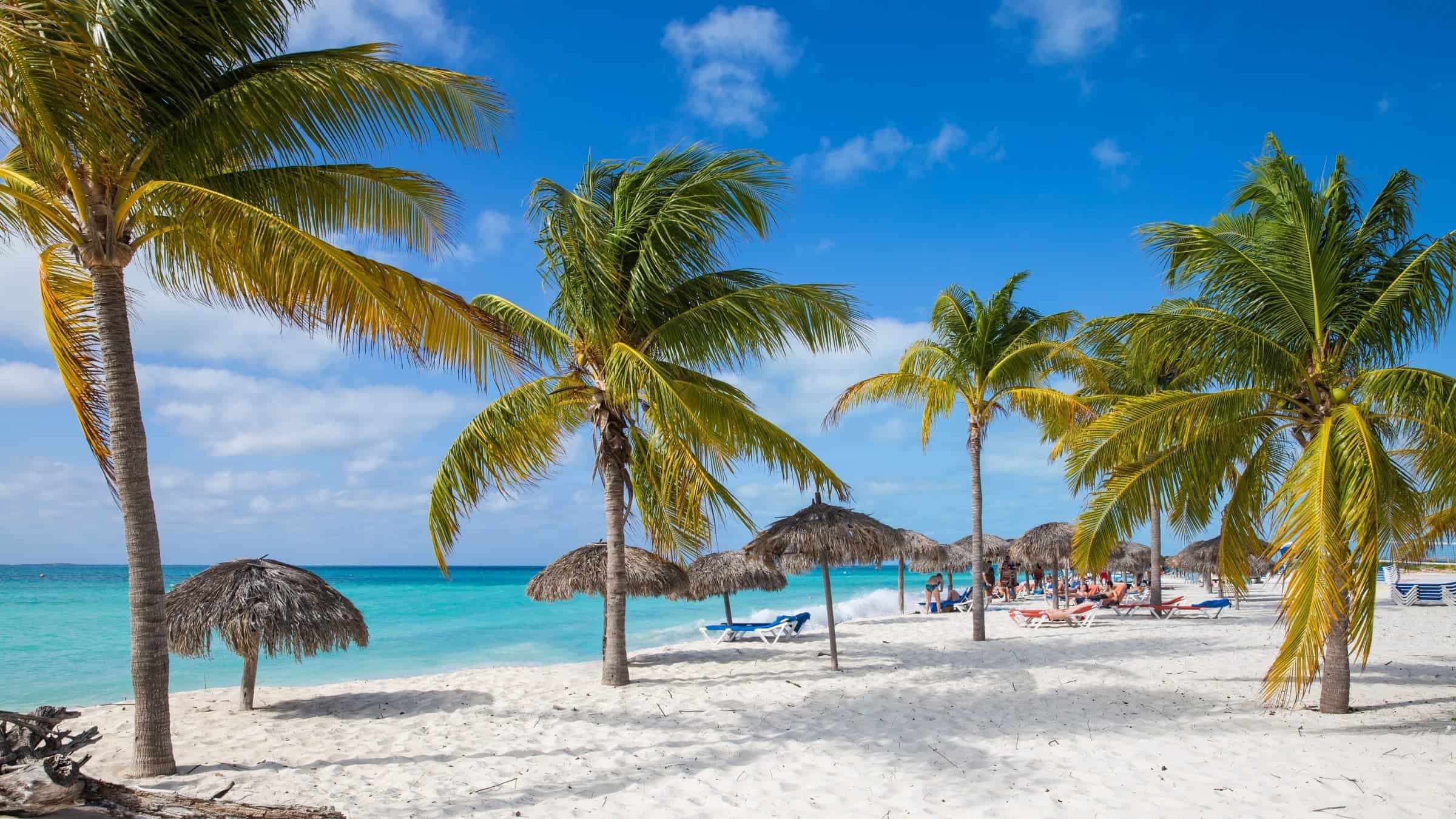 Playa Sirena , Cayo Largo , Cuba , Palm Trees , Beach 