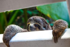 The Best of Costa Rica Holiday