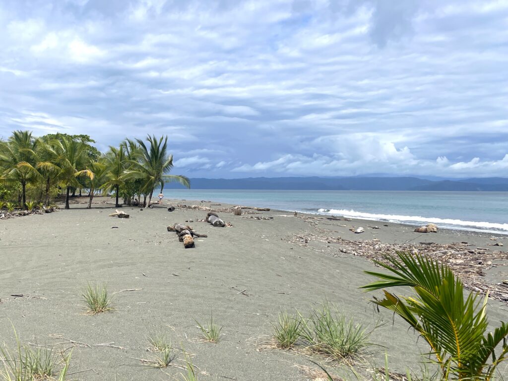Golfo Dolce in Costa Rica