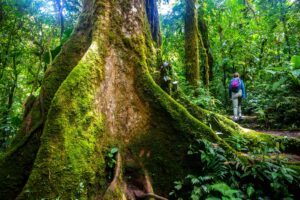 Top Five Things to do in Costa Rica