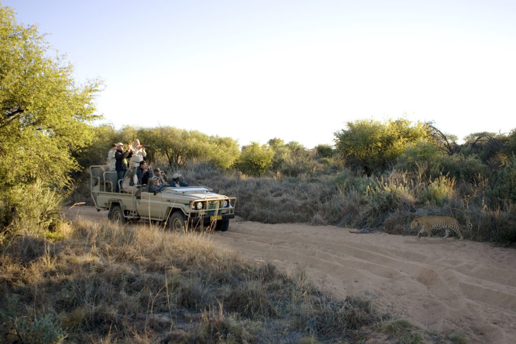 Game drives at Okonjima in Namibia