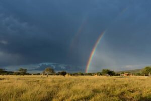 Namibia Holidays - Okonjima Plains Camp