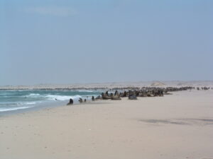 West – Skeleton Coast