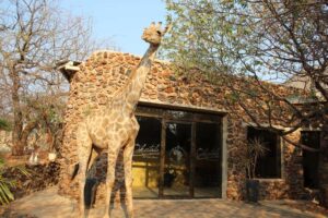Okutala Etosha Lodge