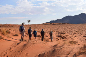 Desert Treks and Wildlife Encounters