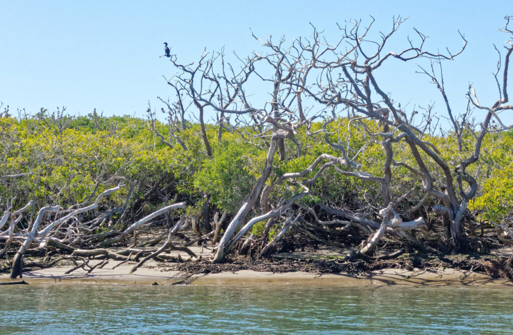 Kayaking in Baja California