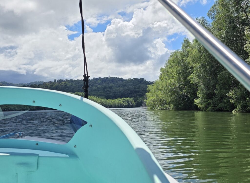 Sierpe River Costa Rica